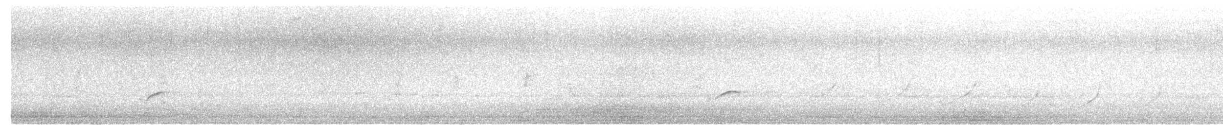 Pacific Golden-Plover - ML633894959