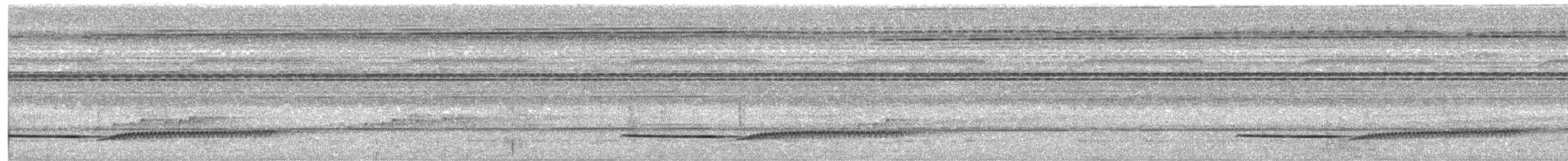 Large Wren-Babbler - ML633896564