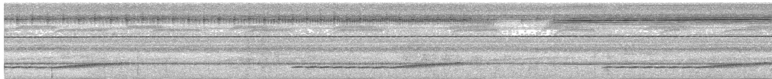 Large Wren-Babbler - ML633896565
