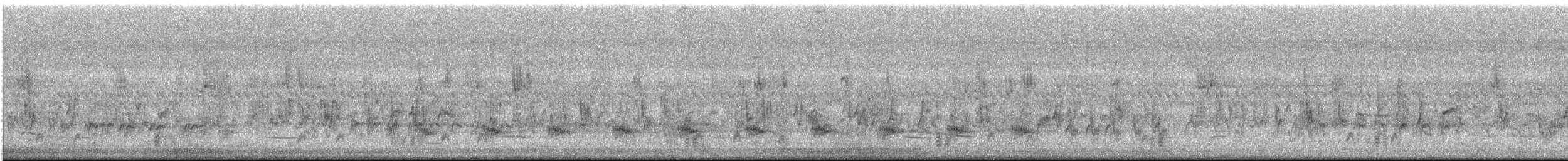 ノドグロハチマキミツスイ - ML633902545