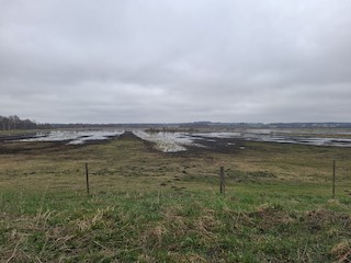Aardla polder--S osa, Tartumaa, Estonia - eBird Hotspot