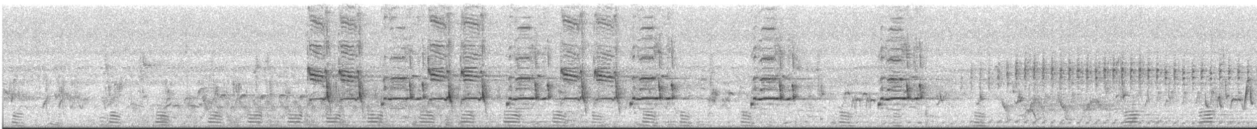 Magpie-lark - ML633905371