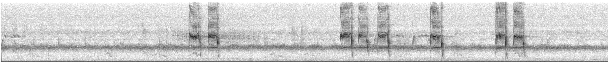 Magpie-lark - ML633905372