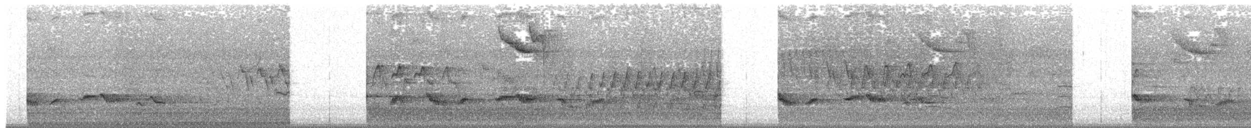 ナツフウキンチョウ - ML633907447