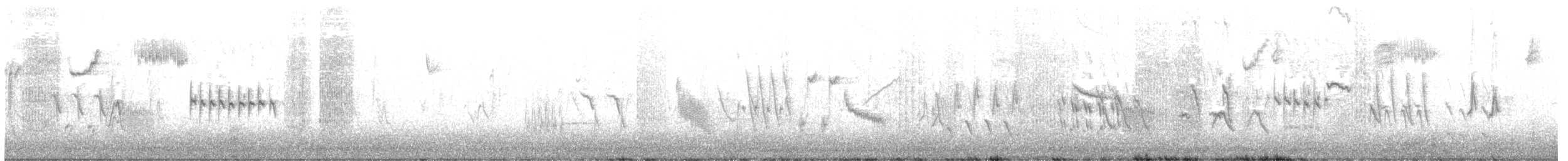 Chingolo Arlequín - ML633908937