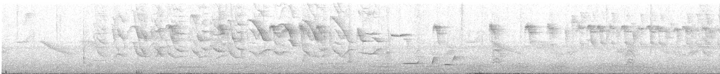 Whiskered Wren - ML633909984