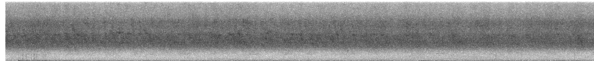 House/Spanish Sparrow - ML633912029