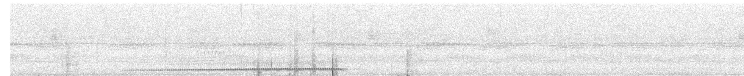 White-breasted Tapaculo - ML633915786