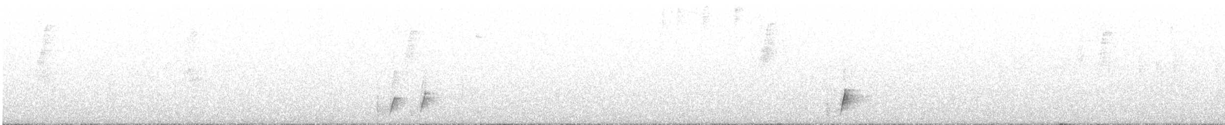 Whiskered Wren - ML633920348