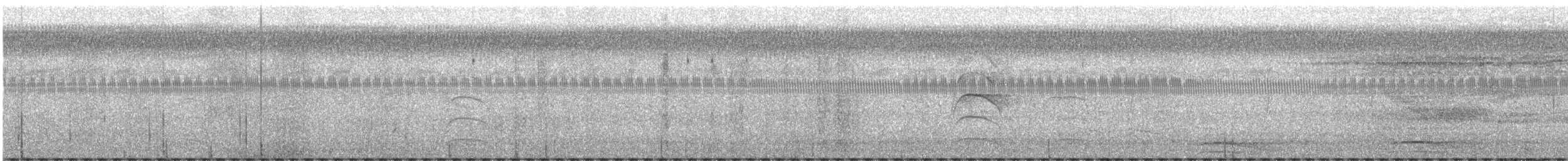passerine sp. - ML633921162