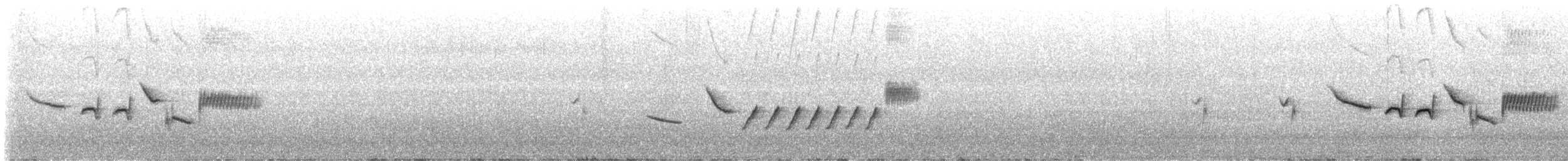 ゴマフスズメ（schistacea グループ） - ML633921593