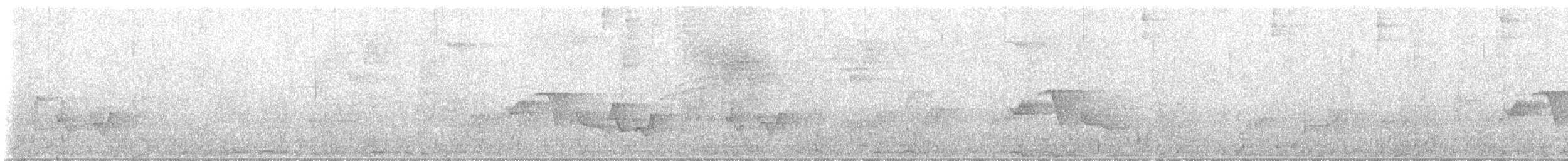 Ruddy Quail-Dove - ML633931305