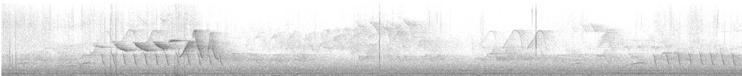 Swainson's Warbler - ML633933115