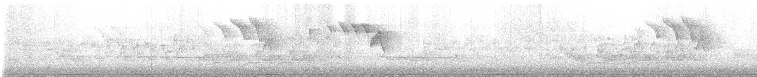 American Redstart - ML633933124