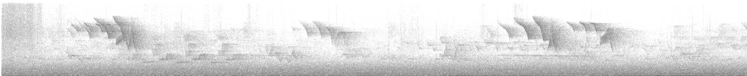 American Redstart - ML633933812
