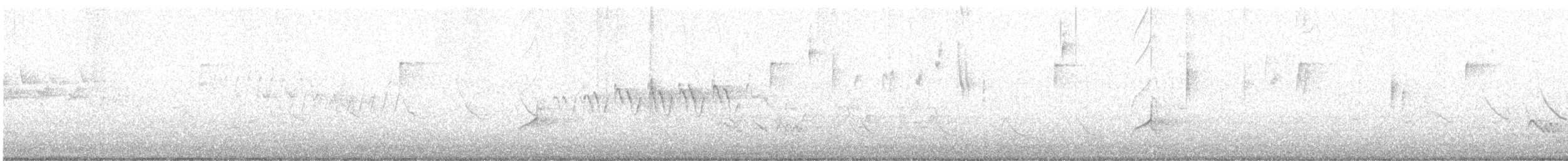 Great Crested Flycatcher - ML633934459