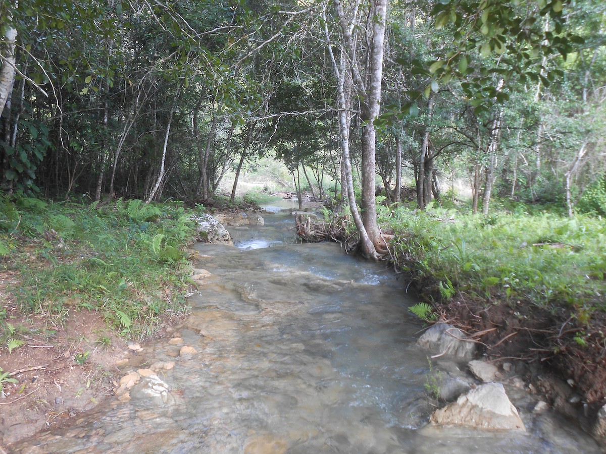 null - ML633935309