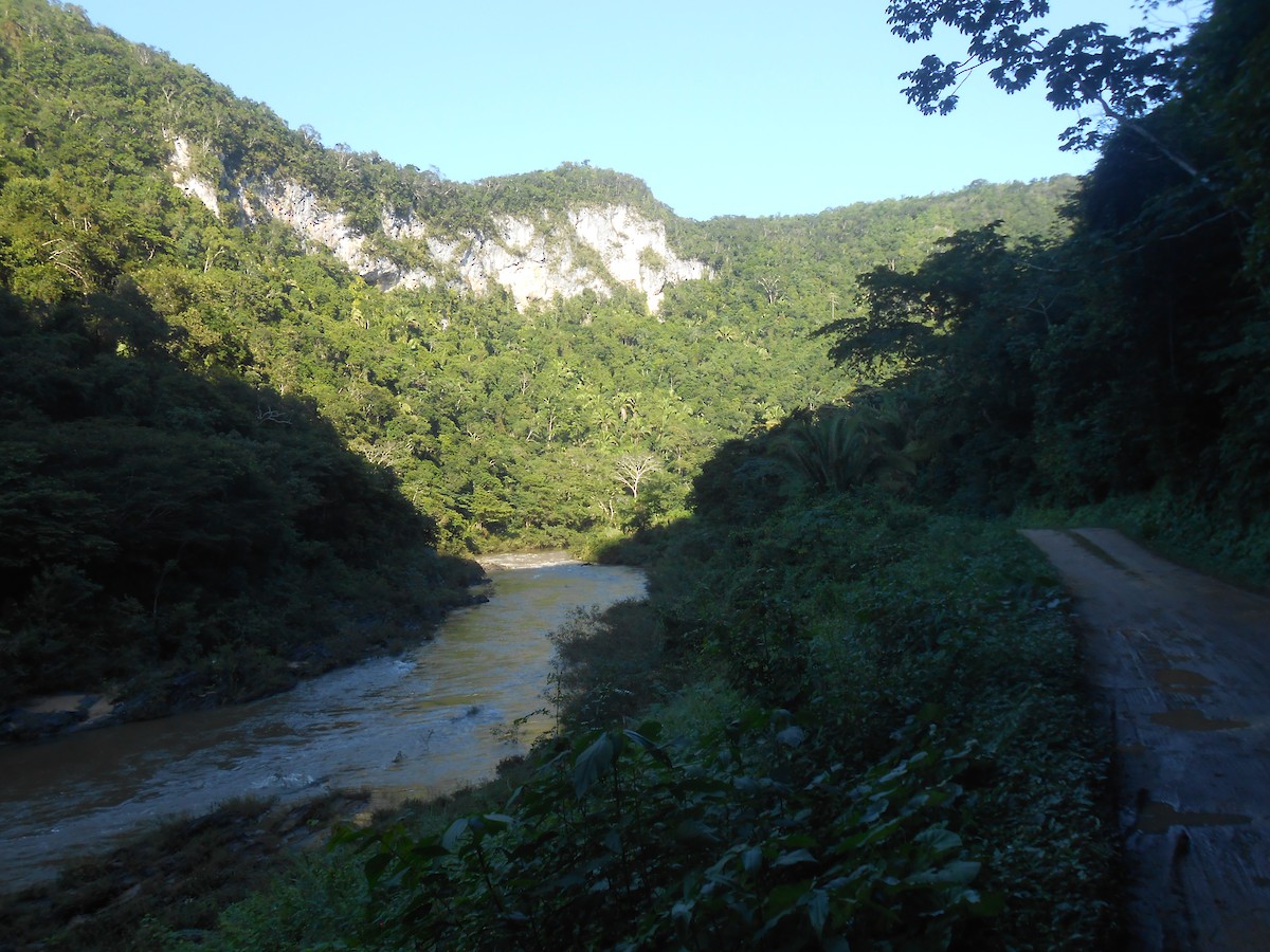 null - ML633935369