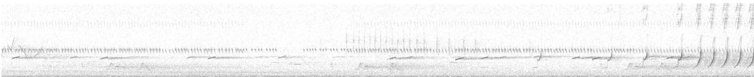 Chuck-will's-widow - ML633935980