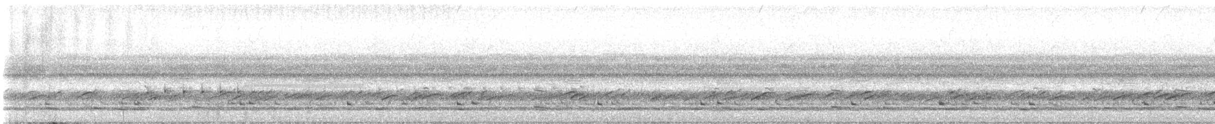 Puerto Rican Owl - ML633937181