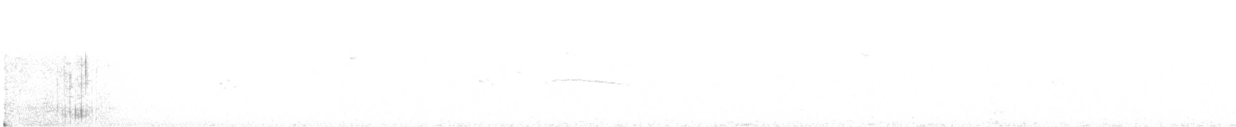 Patagonian Tyrant - ML633939058