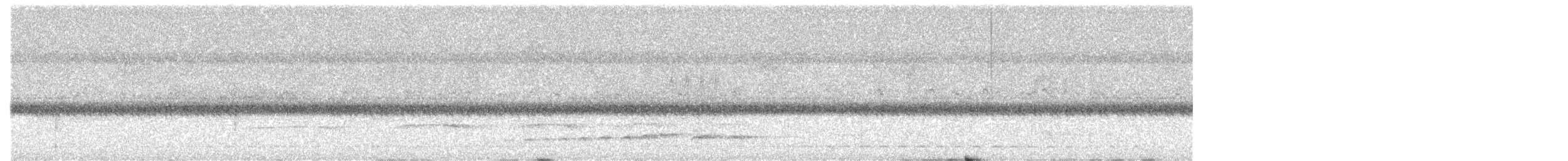 Wing-barred Piprites - ML633940031