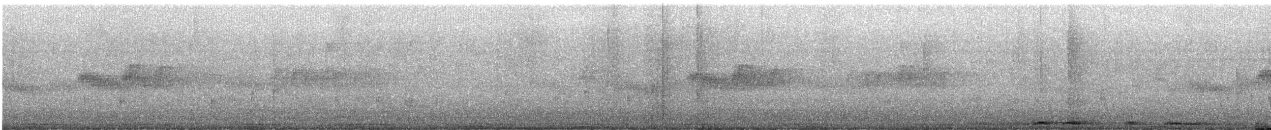 Rock Pigeon (Feral Pigeon) - ML633940545
