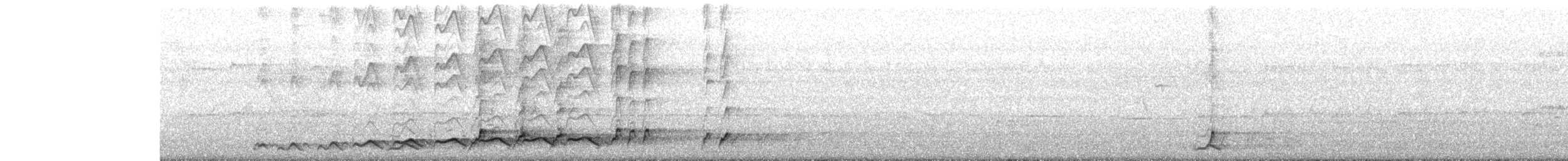 Asian Koel - ML633945318