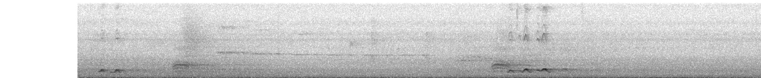 Asian Koel - ML633945333