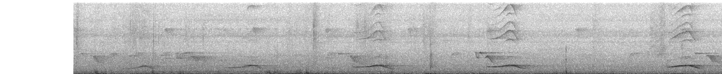 Asian Koel - ML633945612