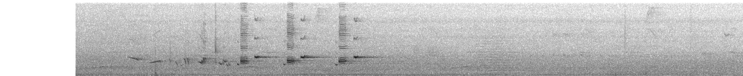 Greater Racket-tailed Drongo - ML633945812