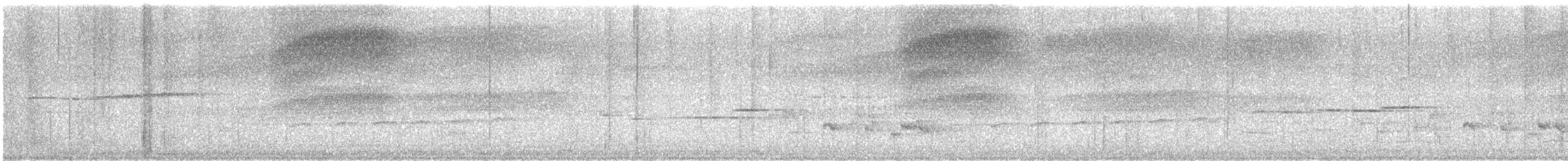 Square-tailed Drongo-Cuckoo - ML633946008