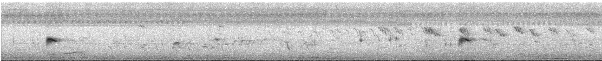 Striated Grassbird - ML633948654