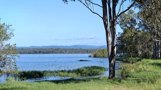 Atkinsons Dam, Somerset, Queensland, Australia - eBird Hotspot