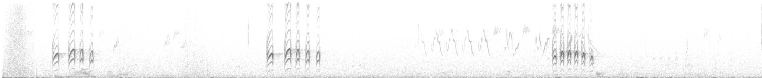 Thuragimpel - ML633951028
