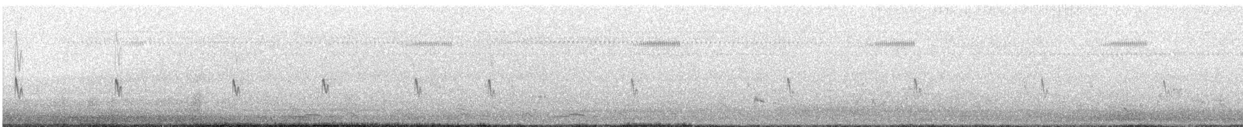 Pictorella Munia - ML633954028