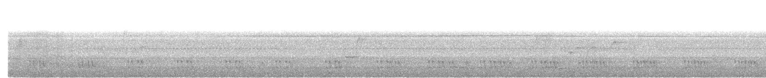 Black-eared Barbet - ML633954394