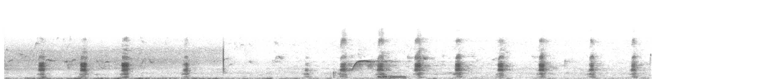 Canard noirâtre - ML633954589