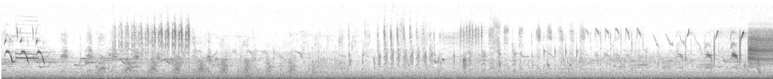 Song Sparrow - ML633956265
