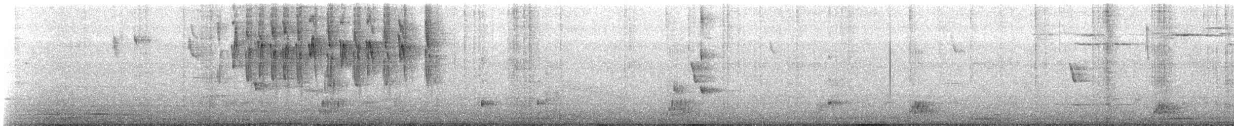 Cinereous Conebill - ML633957938