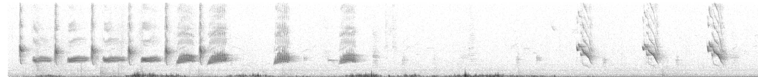 Northern Mockingbird - ML633961401