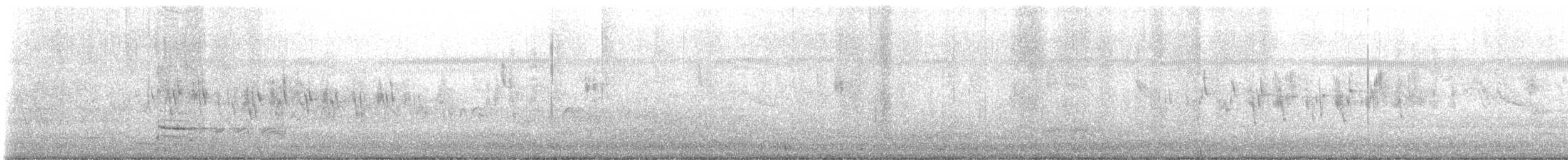 Txioa sp. - ML633961779