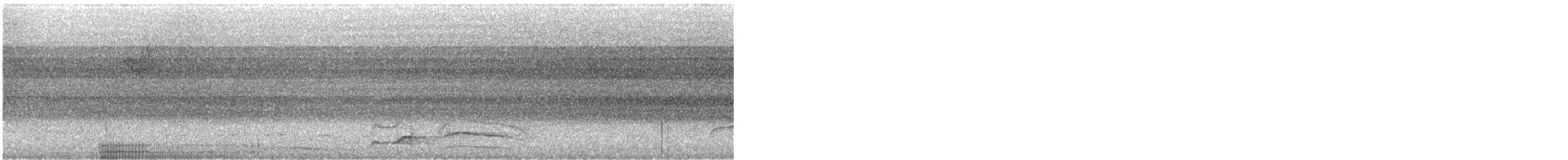 Waved Woodpecker - ML633961803