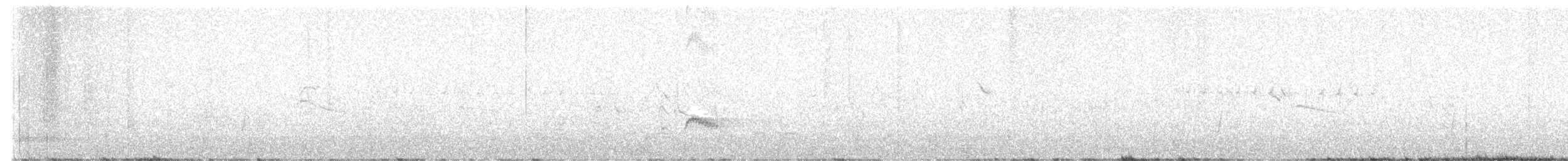 Ash-throated Flycatcher - ML633963469