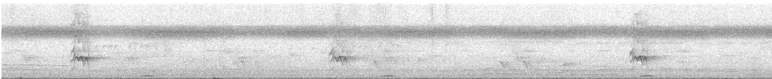 Whooping Motmot - ML633964759