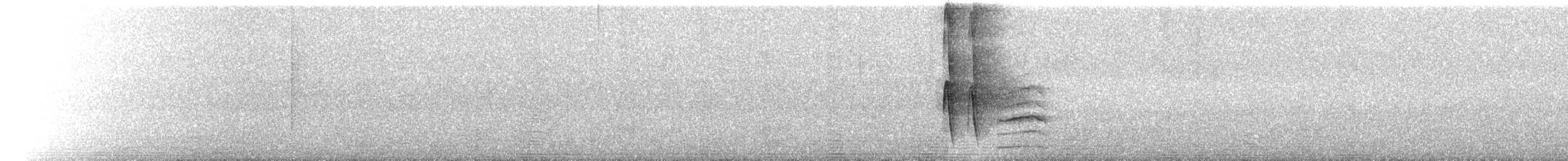 selvastreløper - ML633974321