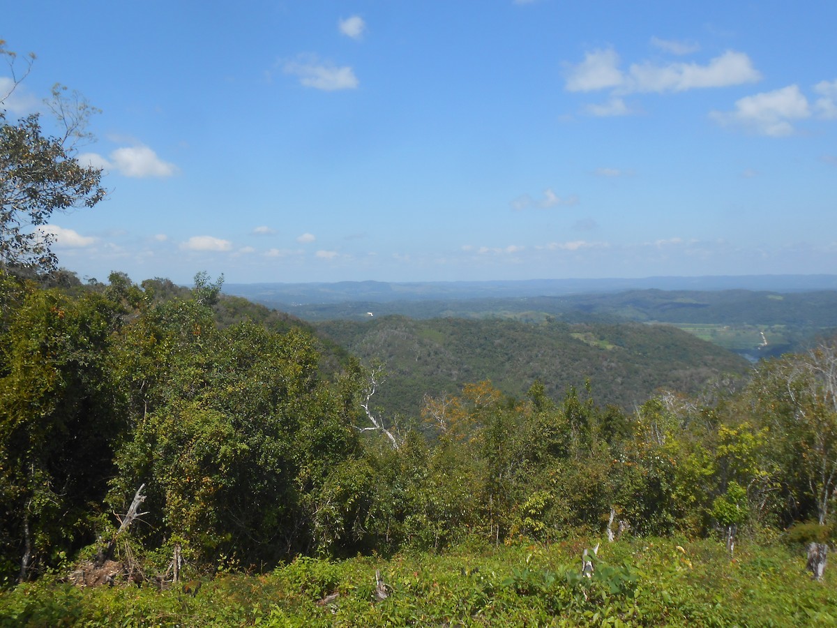 null - ML633976291
