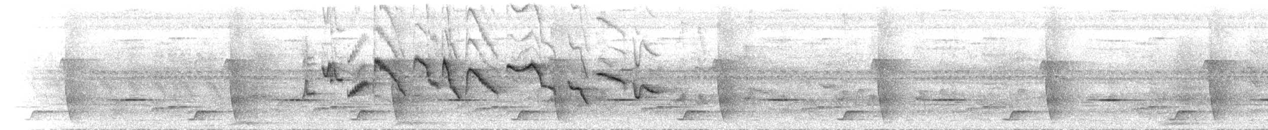 Fiji White-eye - ML633984091