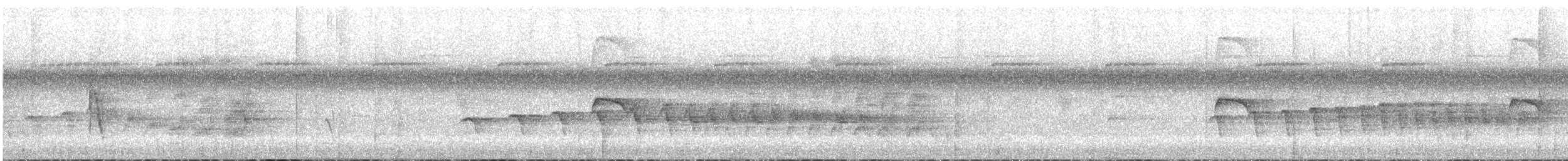 svartstrupemaurfugl - ML633987378