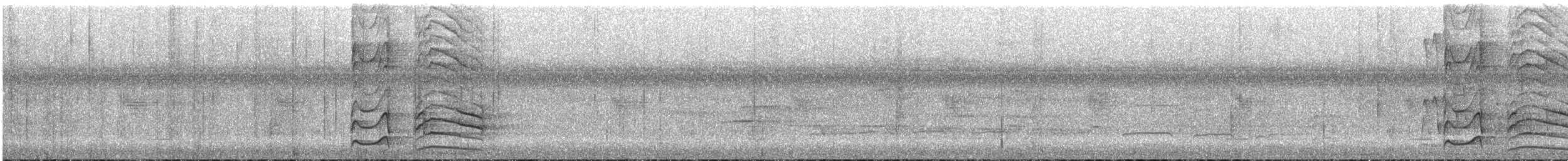 Waved Woodpecker (Waved) - ML633987415